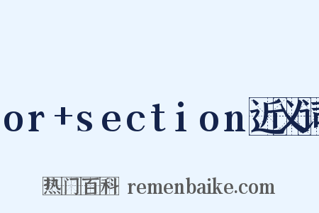 or+section近义词是什么意思的图片